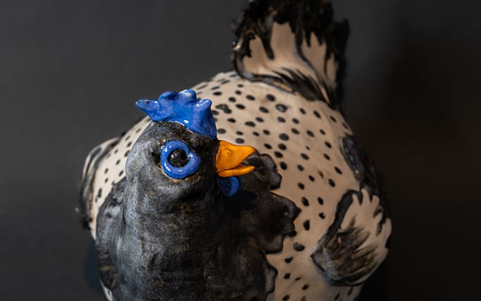 White and black chickens